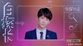 明星排行榜 明星大侦探第九季,揭秘娱乐圈风云，明星侦探团再启探案之旅