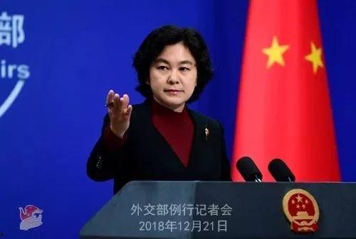 社会热点新闻事件及点评 网红黑料黑料正能量,从网红黑料到正能量传递的反思与启示